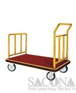 XE ĐẨY HÀNH LÝ SNC682410