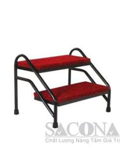 bậc lên sân khấu sacona