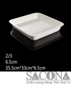 KHAY SỨ VUÔNG Model / Mã hàng : SNC520404