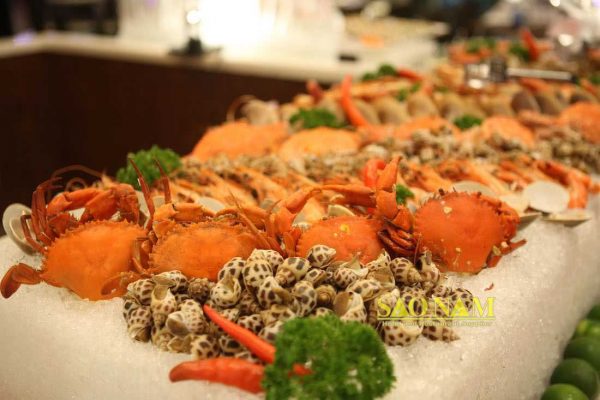 Khay Sứ phục vụ nhà hàng Food Connexion