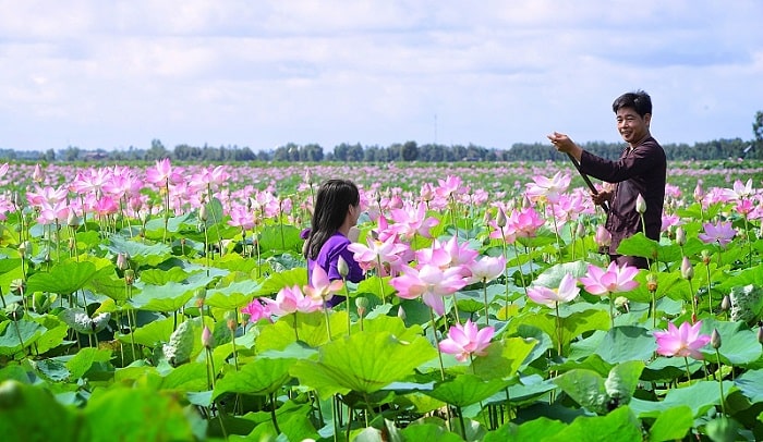 Nơi bán bảng thông tin giá rẻ tại Đồng Tháp