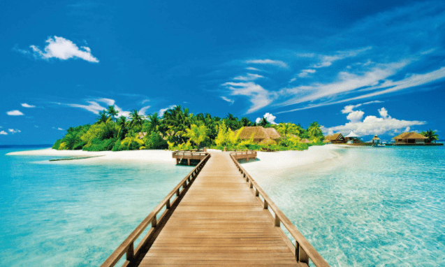 Nơi bán xe đẩy phục vụ giá rẻ tại Kiên Giang